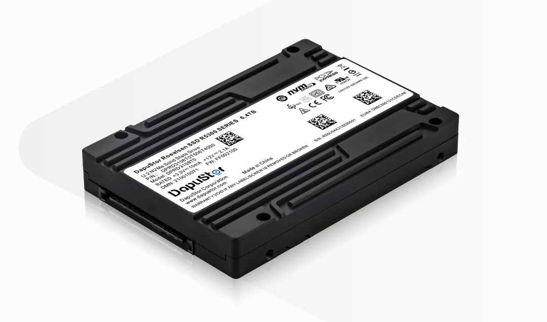 DapuStor? 嶸神Roealsen?R530X系列SSD DapuStor? 嶸神Roealsen?R530X系列SSD
